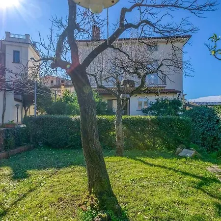 Apartment Il Vicolo - Bilocale In Centro A Con Cucina E Patio, Fino A 3 Persone Ceraso