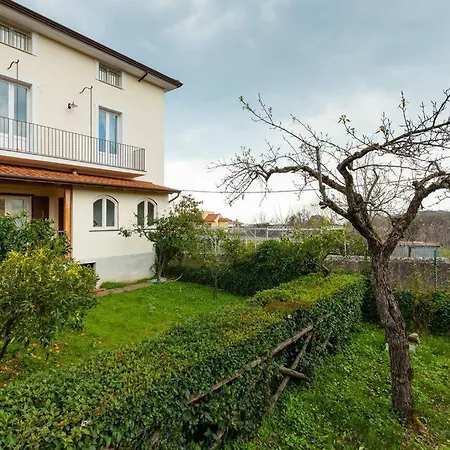 Il Vicolo - Bilocale In Centro A Con Cucina E Patio, Fino A 3 Persone
